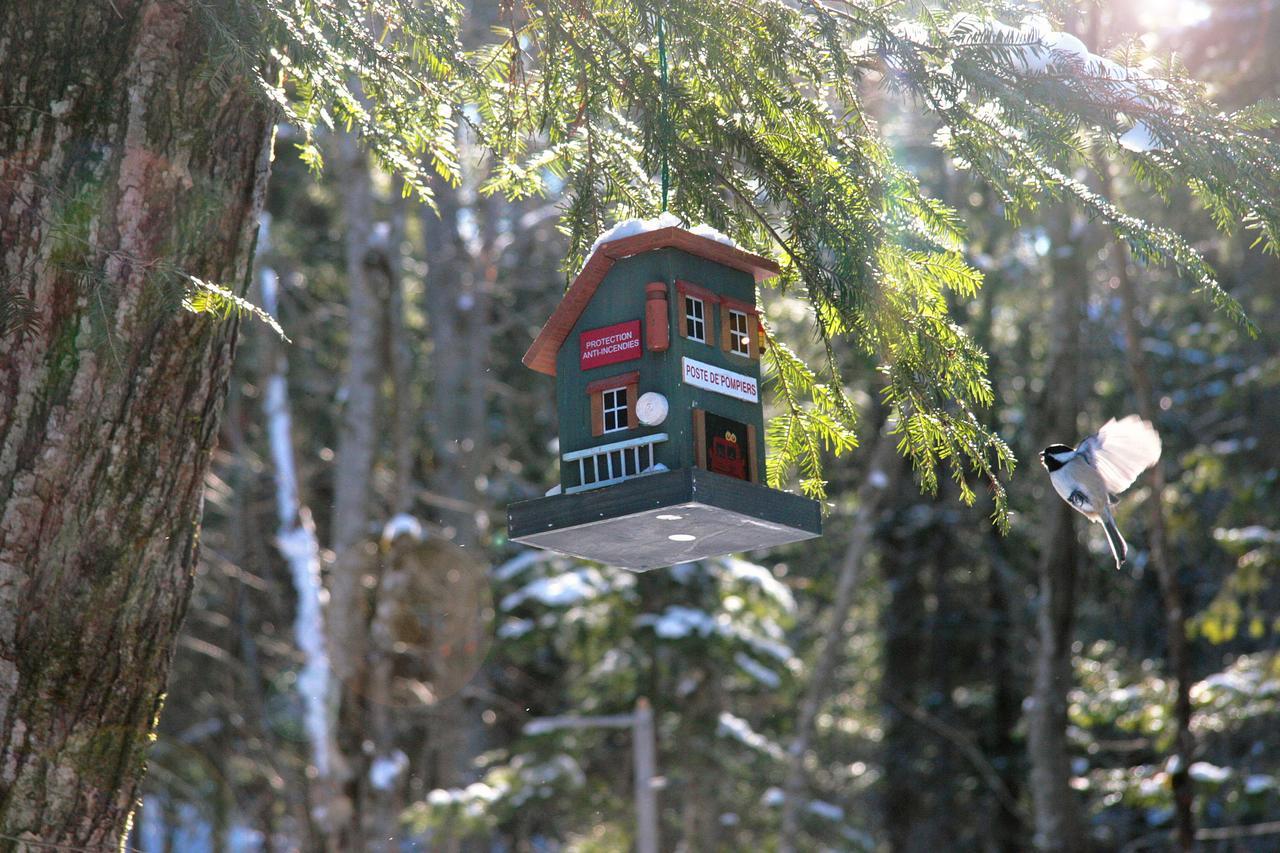 Chalets Lac Beauport Kültér fotó